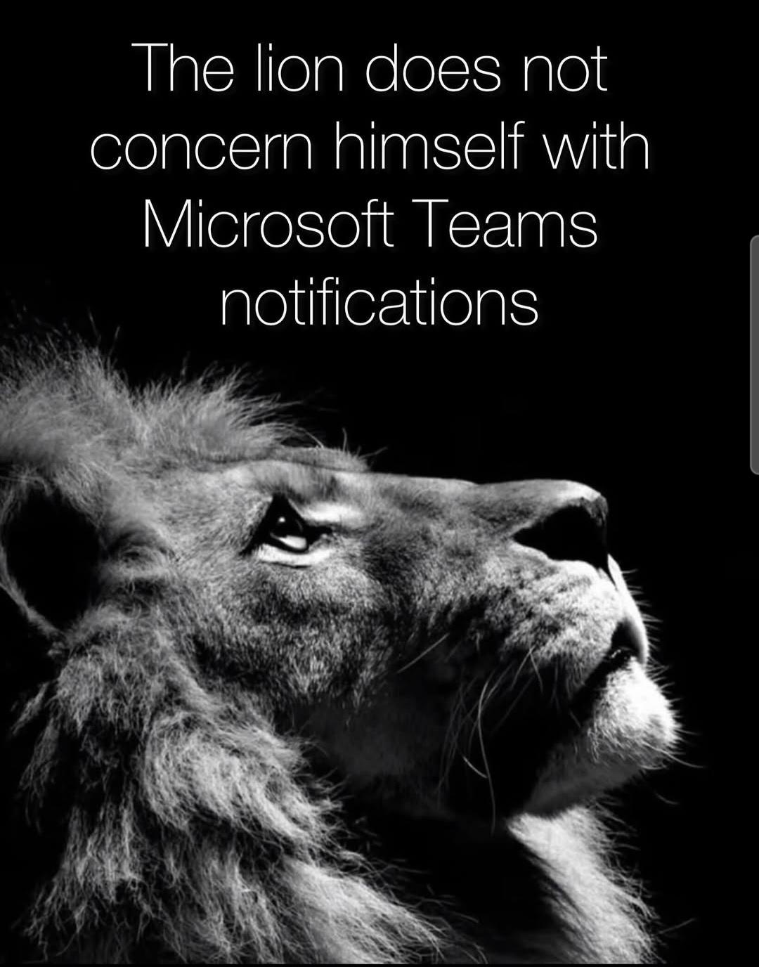 Slack?